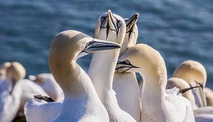 Jiuyou-世界杯预选赛U23国足出战 数据分析揭示问题，u23世界杯百度百科