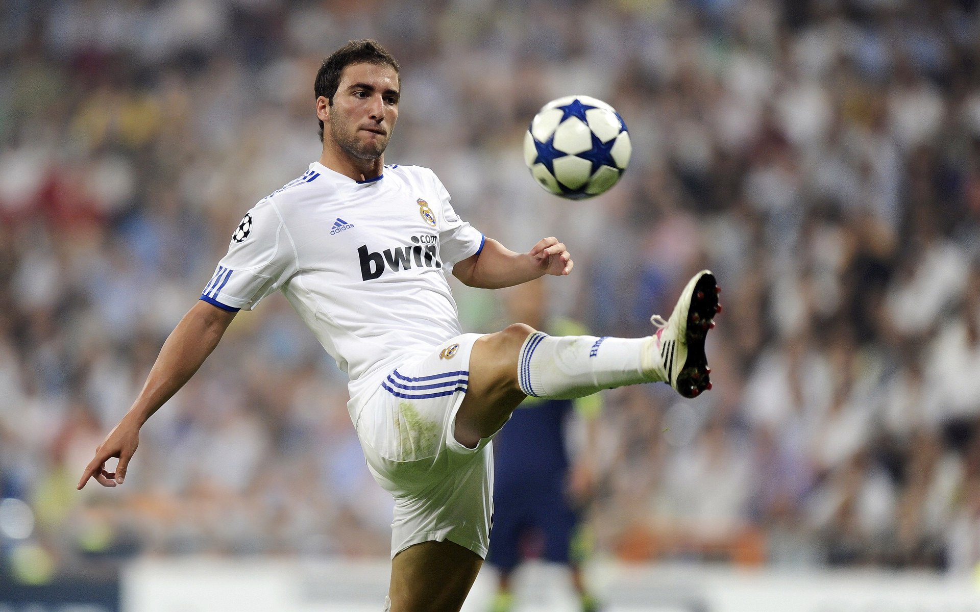 未来“欧洲霸主”:新兴豪门的崛起路径,生机勃勃的新欧洲正在崛起