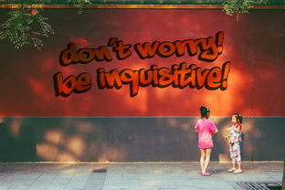 九游网页版官网-命中率奇高的经典比赛整理，命中率极高